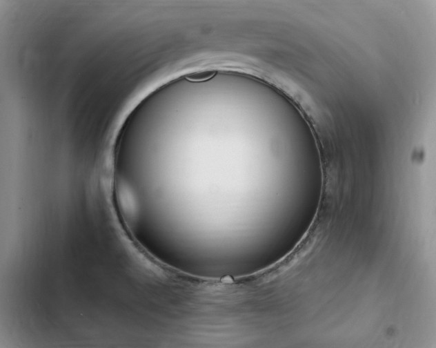 X0000103231520200808281419