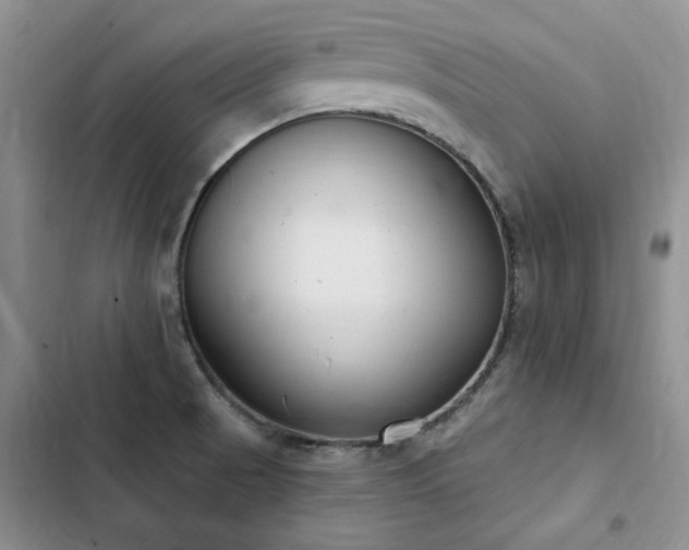 X0000103231521200808281419