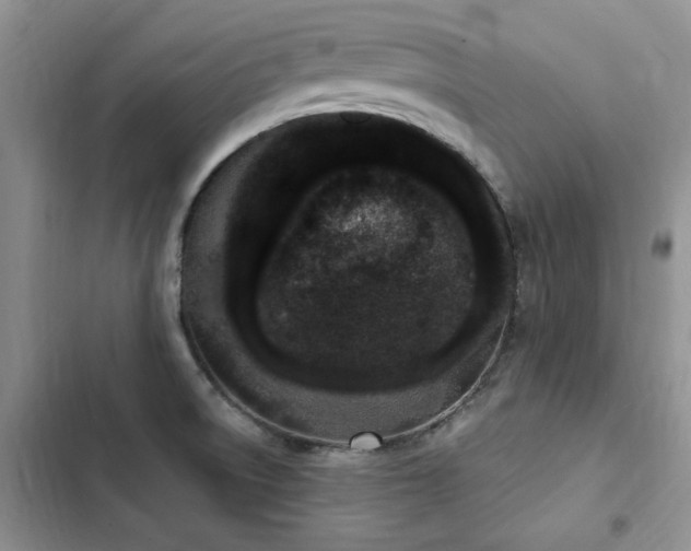 X0000103231522200808281419