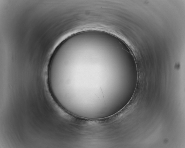 X0000103231523200808281419