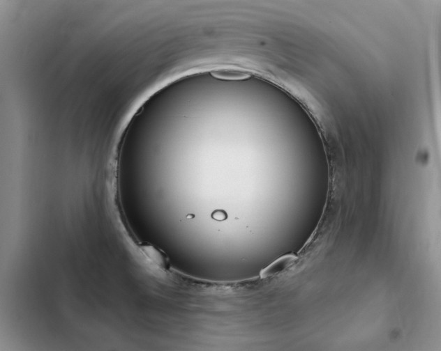 X0000103231524200808281419