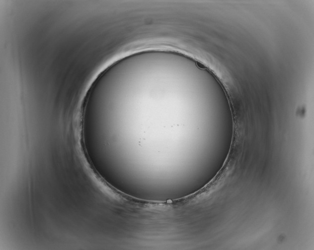 X0000103231526200808281419