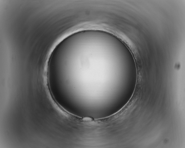 X0000103231528200808281419