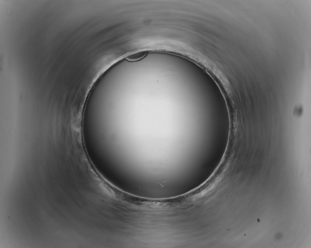 X0000103231529200808281419