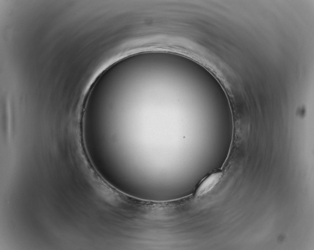 X0000103231530200808281419