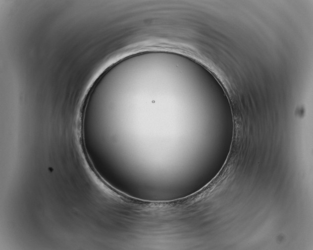 X0000103231531200808281419