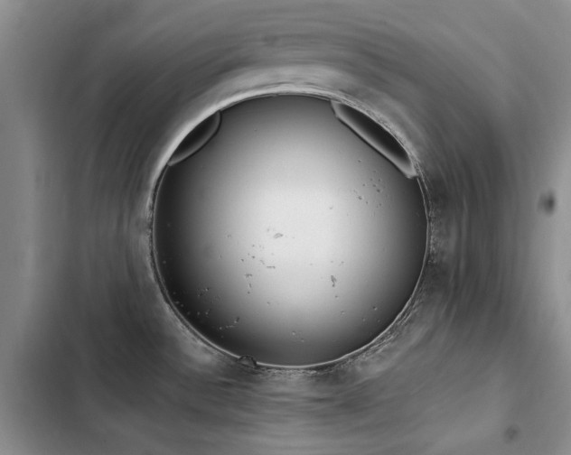 X0000103231532200808281419