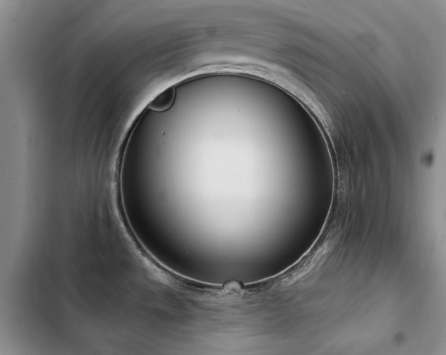 X0000103231533200808281419