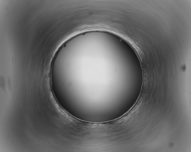 X0000103231534200808281419