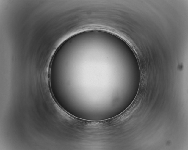 X0000103231535200808281419