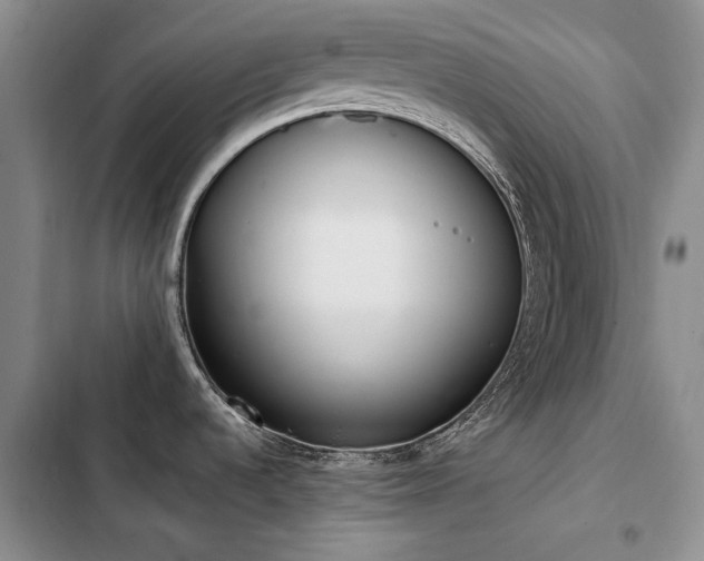 X0000103231536200808281419