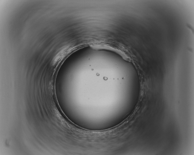 X0000103230002200809041035