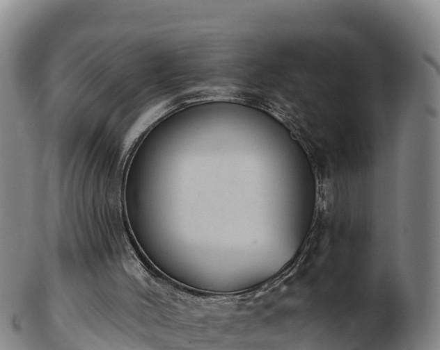 X0000103230004200809041035