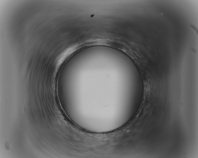 X0000103230006200809041035