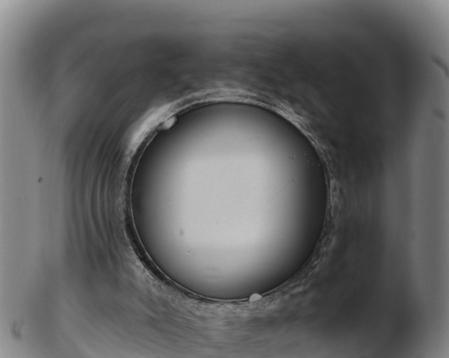 X0000103230007200809041035