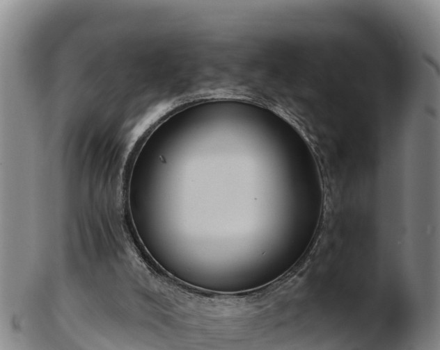 X0000103230008200809041035