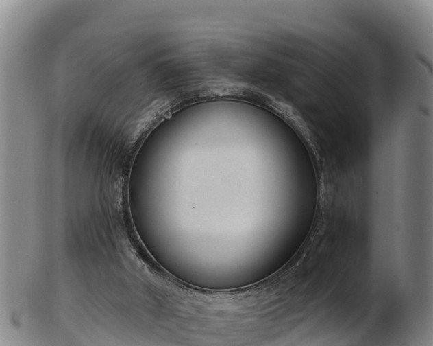 X0000103230010200809041034