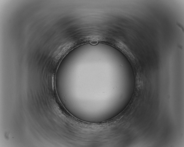 X0000103230014200809041034