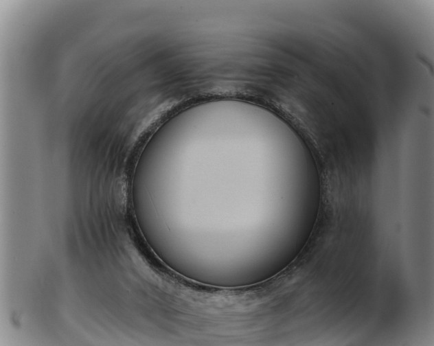 X0000103230016200809041034