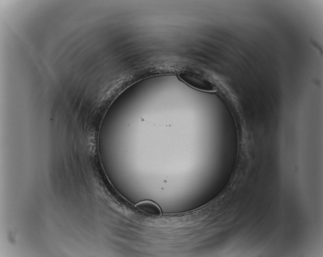 X0000103230017200809041034