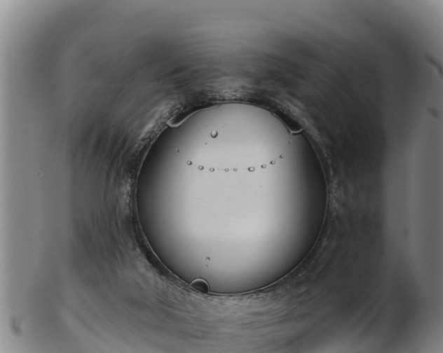 X0000103230018200809041034