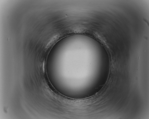X0000103230019200809041034