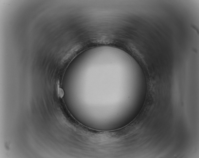 X0000103230020200809041034