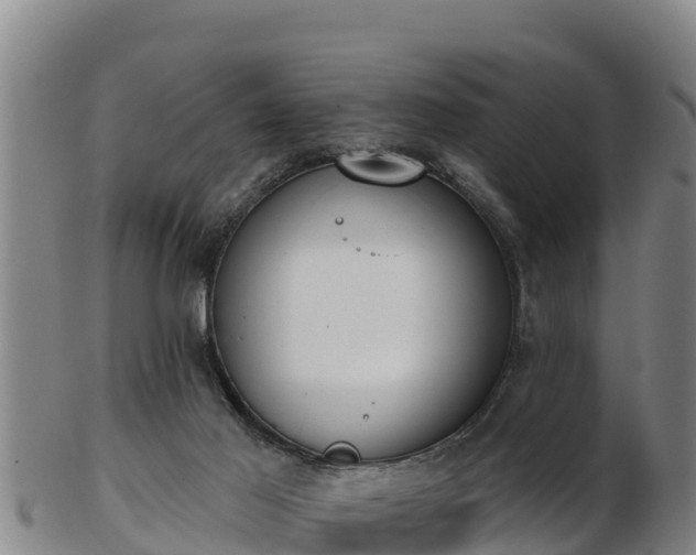 X0000103230021200809041034