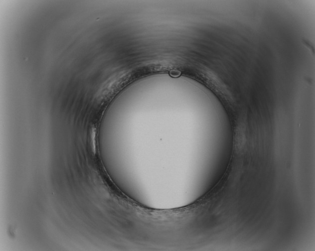 X0000103230022200809041034