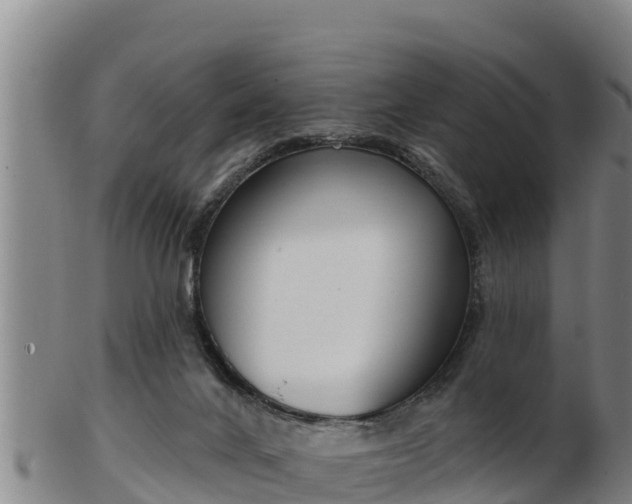 X0000103230024200809041034
