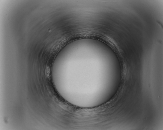 X0000103230025200809041034
