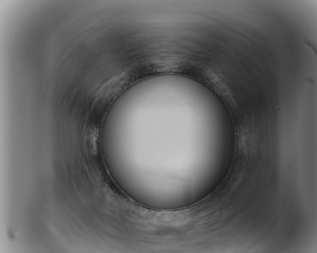 X0000103230026200809041034
