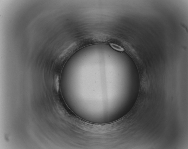 X0000103230027200809041034