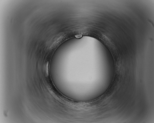 X0000103230028200809041034
