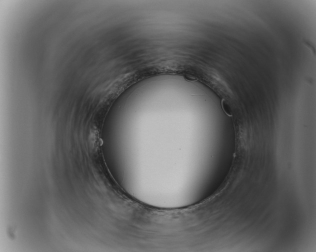 X0000103230029200809041034