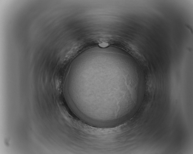 X0000103230031200809041034