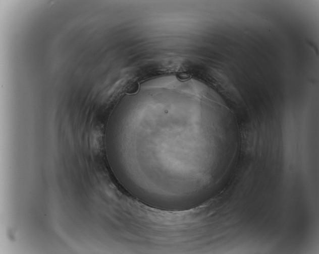 X0000103230035200809041034