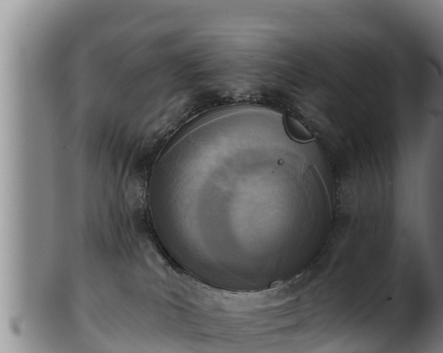 X0000103230039200809041034