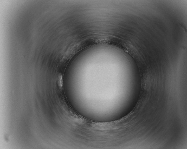 X0000103230041200809041034