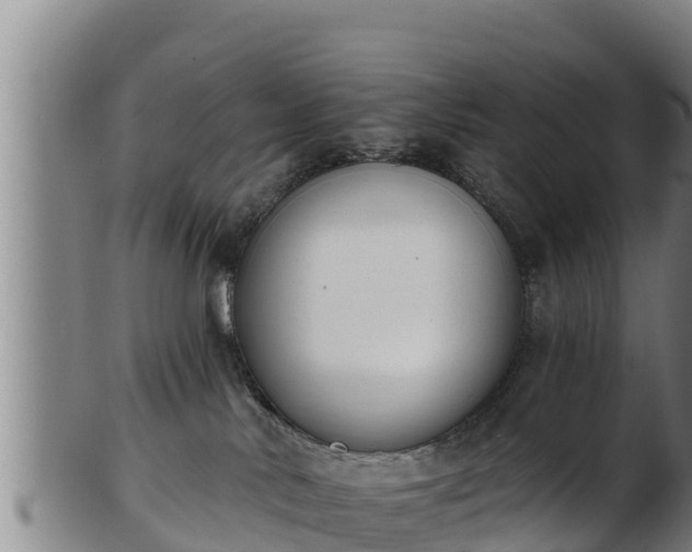 X0000103230042200809041034