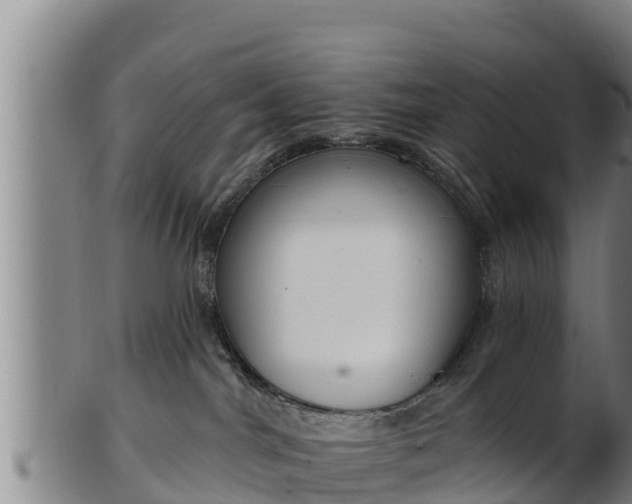 X0000103230044200809041034