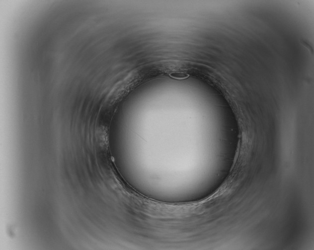 X0000103230048200809041034