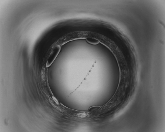X0000103230050200809041033