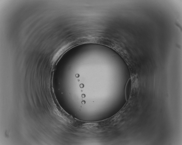 X0000103230051200809041033