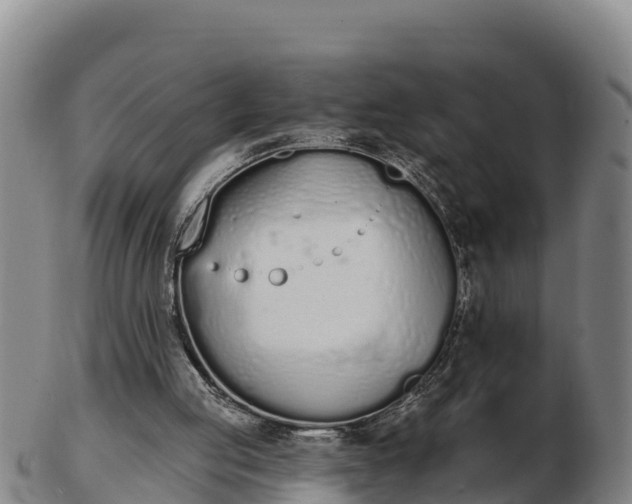 X0000103230053200809041033