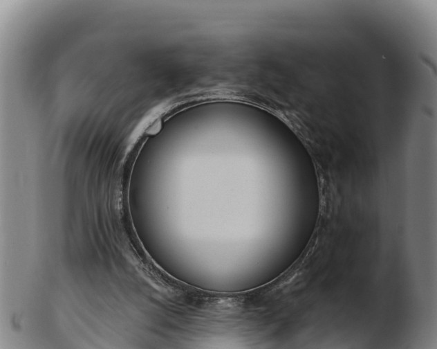 X0000103230056200809041033