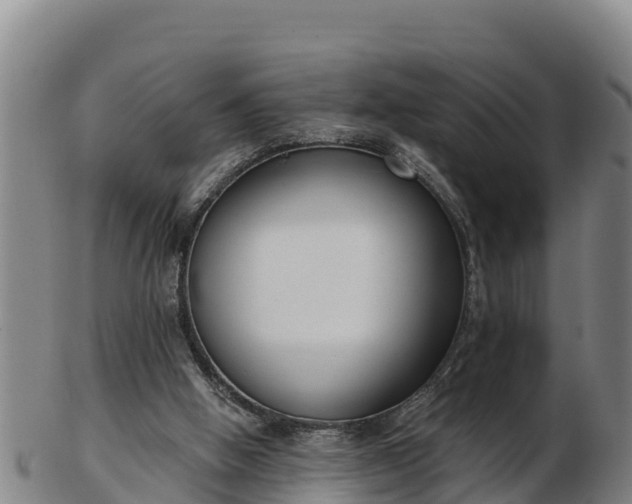 X0000103230058200809041033