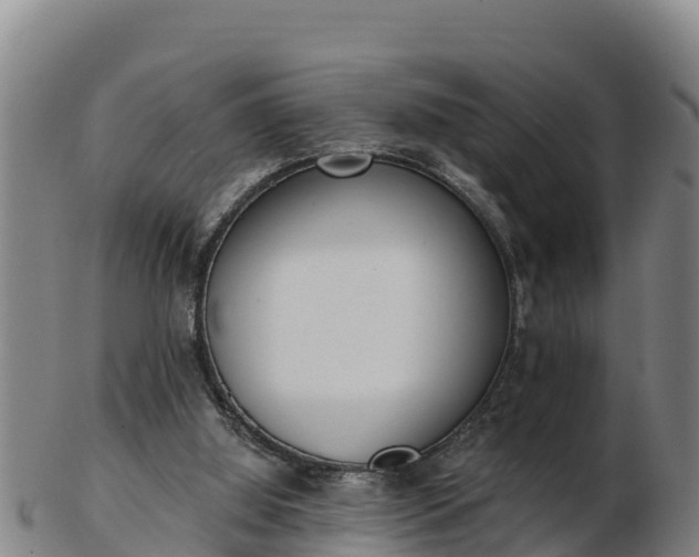 X0000103230060200809041033