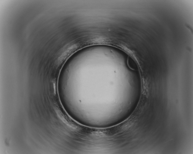 X0000103230061200809041033