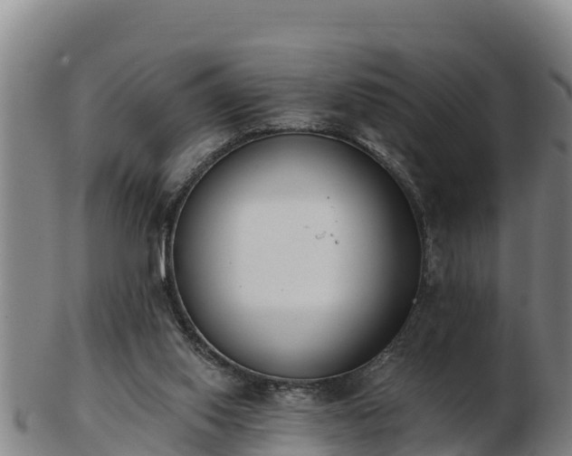 X0000103230062200809041033